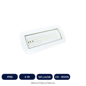 Éclairage de secours  4W LED + Kit Intégré + Option Lumière Permanente - IP65