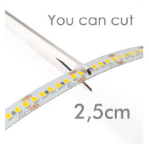 Ruban LED 24V 5m - 20W/m 238xLED/m