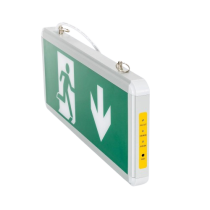 Luz emergencia LED Superficie/Colgante
