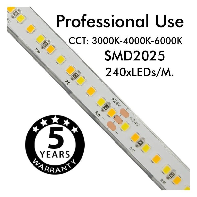 Tira LED 24V | 240xLED/M | 5m | SMD2025 | CCT | 10W/M | IP20