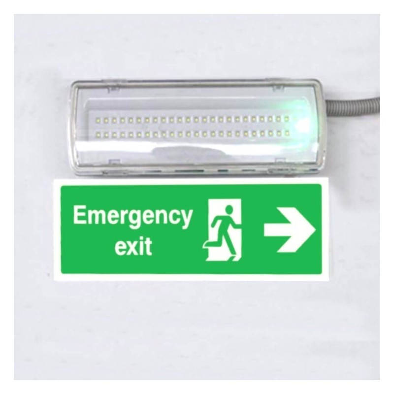 Buy LED Emergency LED 4W + Kit Roof + Option Permanent Light - IP65