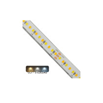 Bande LED 24V | 240xLED/M | 5m | SMD2025 | CCT | 10W/M | IP20