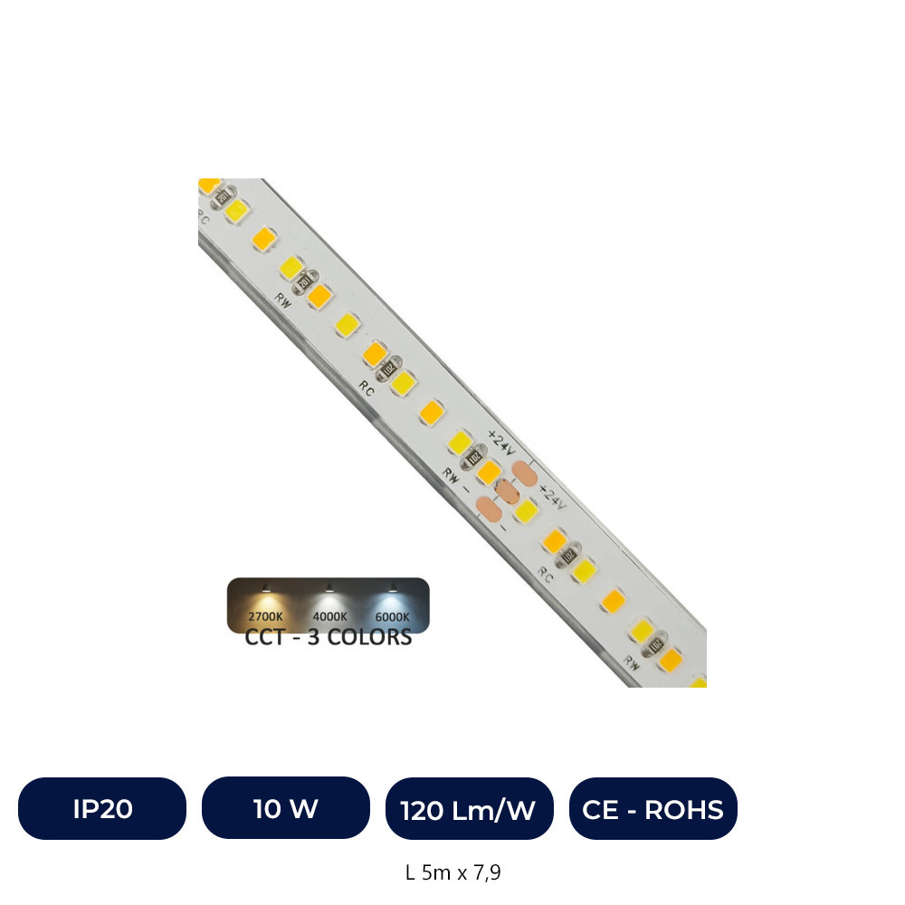 Bande LED 24V | 240xLED/M | 5m | SMD2025 | CCT | 10W/M | IP20